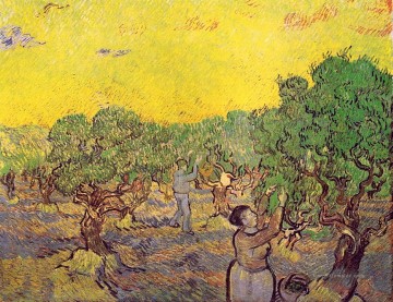 Olive Grove mit den Figuren Vincent van Gogh Picking Ölgemälde